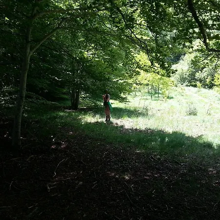 Casa Patro Tramacastilla de Tena