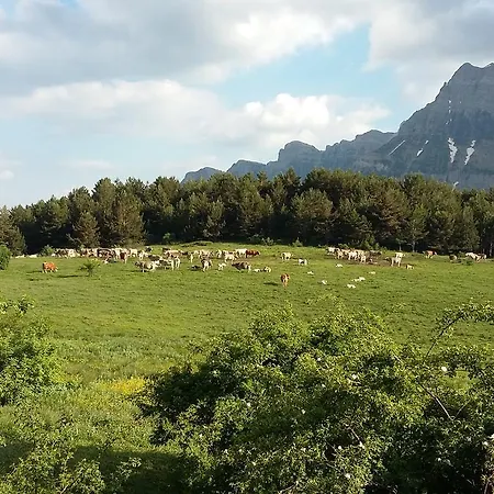 Casa Patro アパート