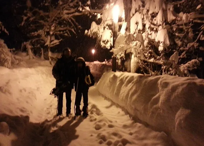 Apartment Casa Patro Tramacastilla de Tena