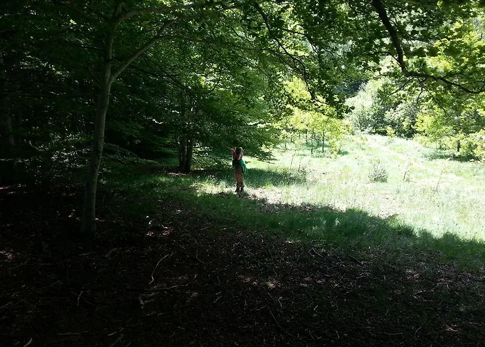 Casa Patro Tramacastilla de Tena