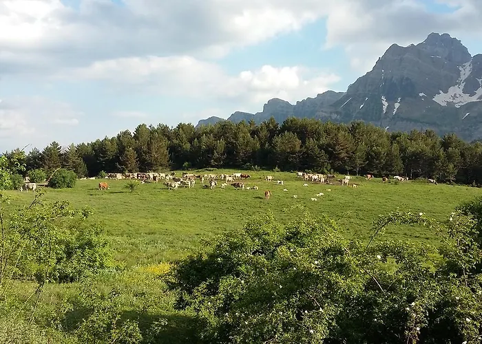 Casa Patro Apartment